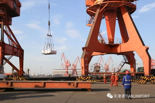 四公司全方位推进先进节能技术应用 力促港口高质量发展 上半年综合能源单吨能耗同比下降7.59
