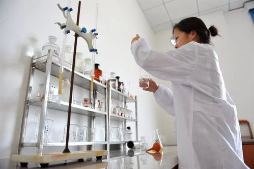 嘉宾抢先看 蜕变 从复合包装废弃物资源化工厂到城市环境综合服务运营商 张婷
