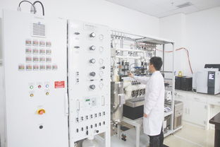 成果快讯 中国地质调查局成都矿产综合利用研究所